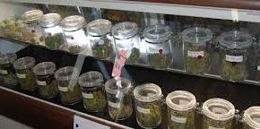 Legalization of Marijuana & Tenant Screening