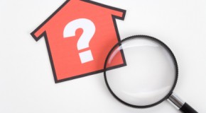 What To Look At In Tenant Background Check